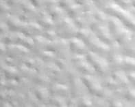 Stucco